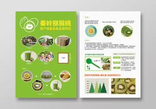 农业公司猕猴桃绿色水果介绍宣传单页设计